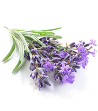 Carica l'immagine nel visualizzatore di Gallery, Olio essenziale Lavanda - 20 ml