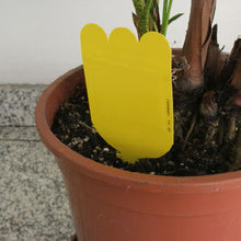 Carica l'immagine nel visualizzatore di Gallery, Trappola per Parassiti delle Piante