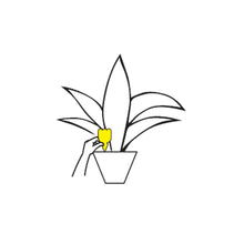 Carica l'immagine nel visualizzatore di Gallery, Trappola per Parassiti delle Piante