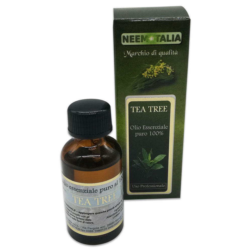 Olio essenziale Tea Tree - 20 ml – Piante Sane