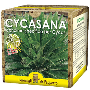 CYCASANA - Concime per Cycas da 250+500 gr